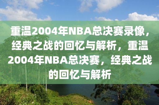 重温2004年NBA总决赛录像，经典之战的回忆与解析，重温2004年NBA总决赛，经典之战的回忆与解析