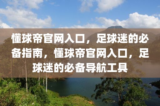 懂球帝官网入口，足球迷的必备指南，懂球帝官网入口，足球迷的必备导航工具