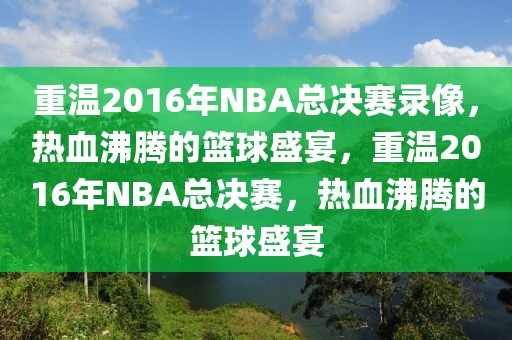 重温2016年NBA总决赛录像，热血沸腾的篮球盛宴，重温2016年NBA总决赛，热血沸腾的篮球盛宴