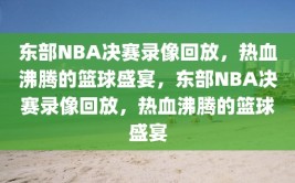 东部NBA决赛录像回放，热血沸腾的篮球盛宴，东部NBA决赛录像回放，热血沸腾的篮球盛宴