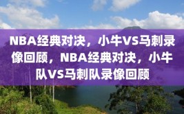 NBA经典对决，小牛VS马刺录像回顾，NBA经典对决，小牛队VS马刺队录像回顾