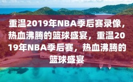 重温2019年NBA季后赛录像，热血沸腾的篮球盛宴，重温2019年NBA季后赛，热血沸腾的篮球盛宴