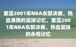 重温2001年NBA东部决赛，热血沸腾的篮球记忆，重温2001年NBA东部决赛，热血篮球的永恒记忆