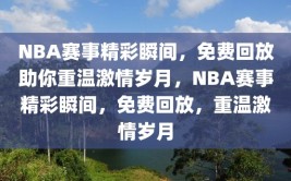 NBA赛事精彩瞬间，免费回放助你重温激情岁月，NBA赛事精彩瞬间，免费回放，重温激情岁月