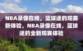 NBA录像在线，篮球迷的观赛新体验，NBA录像在线，篮球迷的全新观赛体验