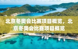 北京冬奥会比赛项目概览，北京冬奥会比赛项目概览