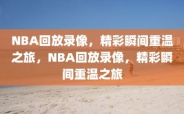 NBA回放录像，精彩瞬间重温之旅，NBA回放录像，精彩瞬间重温之旅