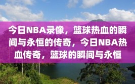 今日NBA录像，篮球热血的瞬间与永恒的传奇，今日NBA热血传奇，篮球的瞬间与永恒