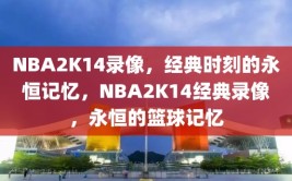 NBA2K14录像，经典时刻的永恒记忆，NBA2K14经典录像，永恒的篮球记忆