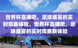 世界杯直播吧，足球盛宴的实时观赛体验，世界杯直播吧，足球盛宴的实时观赛新体验