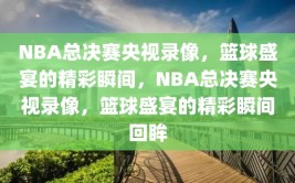 NBA总决赛央视录像，篮球盛宴的精彩瞬间，NBA总决赛央视录像，篮球盛宴的精彩瞬间回眸