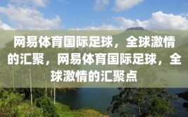 网易体育国际足球，全球激情的汇聚，网易体育国际足球，全球激情的汇聚点