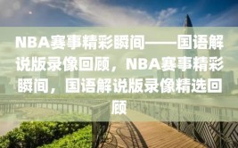 NBA赛事精彩瞬间——国语解说版录像回顾，NBA赛事精彩瞬间，国语解说版录像精选回顾