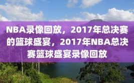 NBA录像回放，2017年总决赛的篮球盛宴，2017年NBA总决赛篮球盛宴录像回放