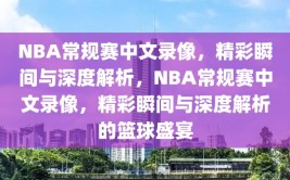 NBA常规赛中文录像，精彩瞬间与深度解析，NBA常规赛中文录像，精彩瞬间与深度解析的篮球盛宴