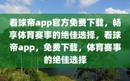 看球帝app官方免费下载，畅享体育赛事的绝佳选择，看球帝app，免费下载，体育赛事的绝佳选择