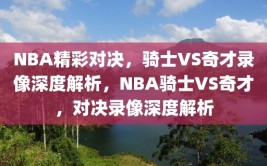 NBA精彩对决，骑士VS奇才录像深度解析，NBA骑士VS奇才，对决录像深度解析