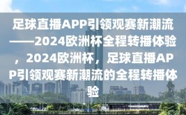 足球直播APP引领观赛新潮流——2024欧洲杯全程转播体验，2024欧洲杯，足球直播APP引领观赛新潮流的全程转播体验