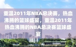 重温2011年NBA总决赛，热血沸腾的篮球盛宴，重温2011年热血沸腾的NBA总决赛篮球盛宴