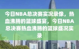 今日NBA总决赛实况录像，热血沸腾的篮球盛宴，今日NBA总决赛热血沸腾的篮球盛况实录