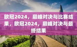 欧冠2024，巅峰对决与比赛结果，欧冠2024，巅峰对决与最终结果