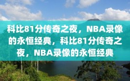 科比81分传奇之夜，NBA录像的永恒经典，科比81分传奇之夜，NBA录像的永恒经典