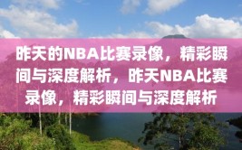 昨天的NBA比赛录像，精彩瞬间与深度解析，昨天NBA比赛录像，精彩瞬间与深度解析