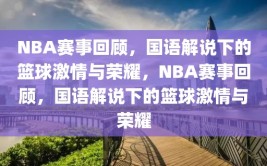 NBA赛事回顾，国语解说下的篮球激情与荣耀，NBA赛事回顾，国语解说下的篮球激情与荣耀