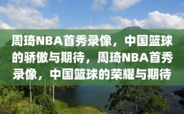 周琦NBA首秀录像，中国篮球的骄傲与期待，周琦NBA首秀录像，中国篮球的荣耀与期待