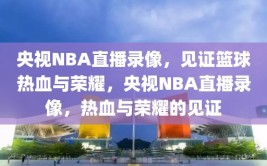 央视NBA直播录像，见证篮球热血与荣耀，央视NBA直播录像，热血与荣耀的见证