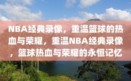 NBA经典录像，重温篮球的热血与荣耀，重温NBA经典录像，篮球热血与荣耀的永恒记忆