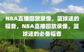 NBA直播回放录像，篮球迷的福音，NBA直播回放录像，篮球迷的必备福音