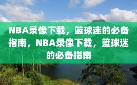 NBA录像下载，篮球迷的必备指南，NBA录像下载，篮球迷的必备指南