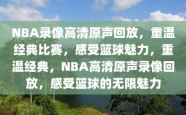 NBA录像高清原声回放，重温经典比赛，感受篮球魅力，重温经典，NBA高清原声录像回放，感受篮球的无限魅力