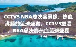 CCTV5 NBA总决赛录像，热血沸腾的篮球盛宴，CCTV5重温，NBA总决赛热血篮球盛宴