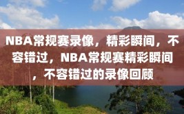 NBA常规赛录像，精彩瞬间，不容错过，NBA常规赛精彩瞬间，不容错过的录像回顾