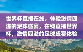 世界杯直播在线，体验激情四溢的足球盛宴，在线直播世界杯，激情四溢的足球盛宴体验