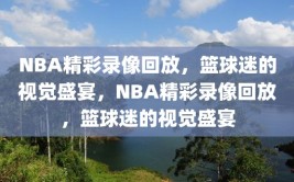 NBA精彩录像回放，篮球迷的视觉盛宴，NBA精彩录像回放，篮球迷的视觉盛宴