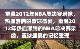 重温2012年NBA总决赛录像，热血沸腾的篮球盛宴，重温2012年热血沸腾的NBA总决赛录像，篮球盛宴的记忆重现