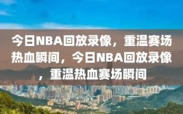 今日NBA回放录像，重温赛场热血瞬间，今日NBA回放录像，重温热血赛场瞬间