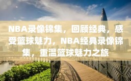 NBA录像锦集，回顾经典，感受篮球魅力，NBA经典录像锦集，重温篮球魅力之旅