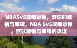 NBA5v5成都录像，篮球的激情与荣耀，NBA 5v5成都录像，篮球激情与荣耀的见证