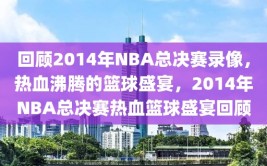 回顾2014年NBA总决赛录像，热血沸腾的篮球盛宴，2014年NBA总决赛热血篮球盛宴回顾