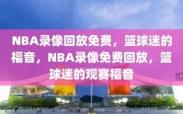 NBA录像回放免费，篮球迷的福音，NBA录像免费回放，篮球迷的观赛福音