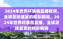 2024年世界杯赛程直播视频，全球足球盛宴的精彩瞬间，2024年世界杯赛程直播，全球足球盛宴的精彩瞬间