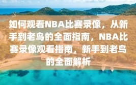 如何观看NBA比赛录像，从新手到老鸟的全面指南，NBA比赛录像观看指南，新手到老鸟的全面解析