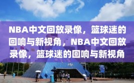 NBA中文回放录像，篮球迷的回响与新视角，NBA中文回放录像，篮球迷的回响与新视角