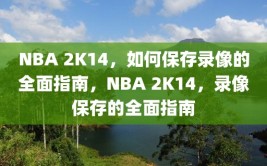 NBA 2K14，如何保存录像的全面指南，NBA 2K14，录像保存的全面指南