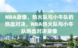 NBA录像，热火队与小牛队的热血对决，NBA热火队与小牛队热血对决录像