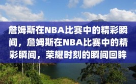 詹姆斯在NBA比赛中的精彩瞬间，詹姆斯在NBA比赛中的精彩瞬间，荣耀时刻的瞬间回眸